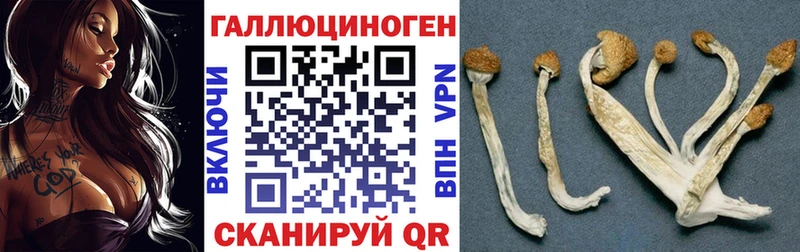 Галлюциногенные грибы Magic Shrooms  купить наркотики цена  Гаврилов-Ям 